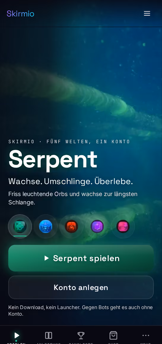 Die Website von Skirmio, ganz durchgescrollt